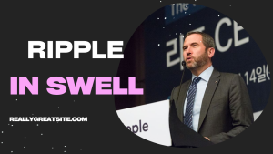 Giám đốc điều hành Ripple tại swell