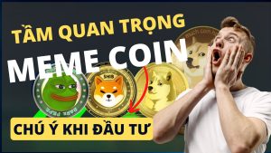 Meme Coin Tầm quan trọng và những điều cần quan tâm khi tham gia đầu tư