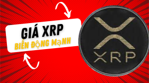 Giá XRP biến động mạnh sau tin giả mạo về BlackRock