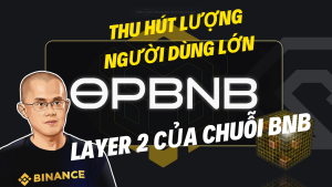 opBNB, Giải pháp Lớp 2 của Chuỗi BNB, Gây Sốc và Ghi Nhận Số Lượng Người Dùng Hàng Ngày Lớn