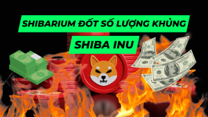 Shibarium Đốt Shiba Inu