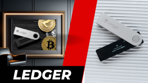 Ledger cam kết bồi thường