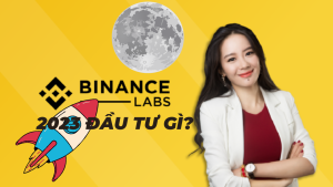 Binance Labs đầu tư năm 2023 những mảng nào