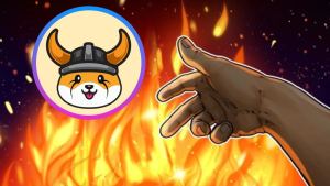 Memecoin Floki inu burn token