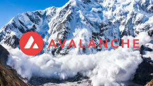 Avalanche Foundation