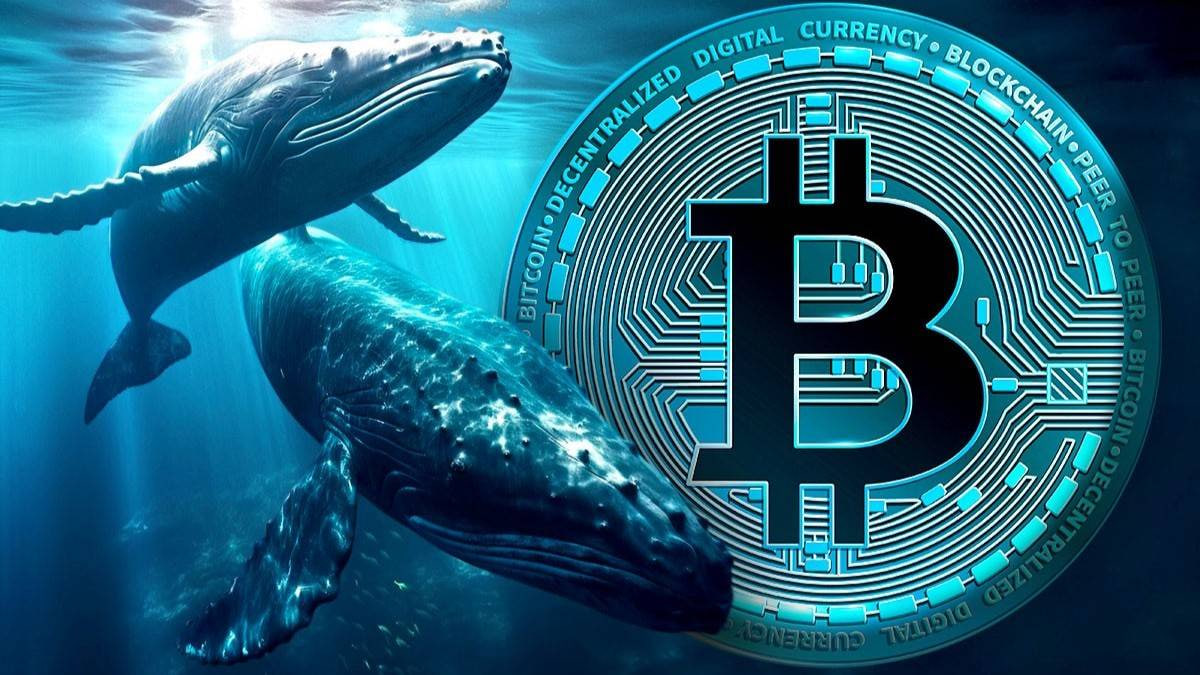 Cá voi Bitcoin short