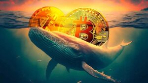 Cá voi 17 tuổi thanh lý 100 triệu USD